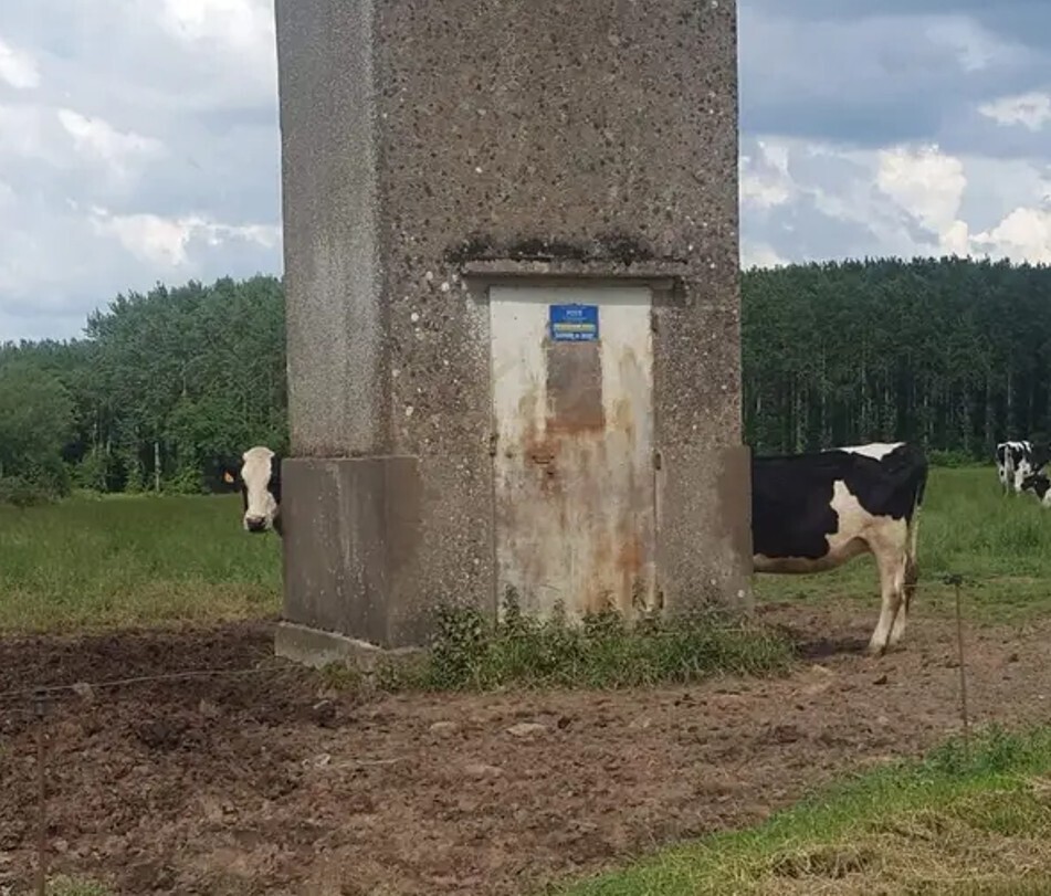 Tricky Pics That Aren't as They Appear at First Glance