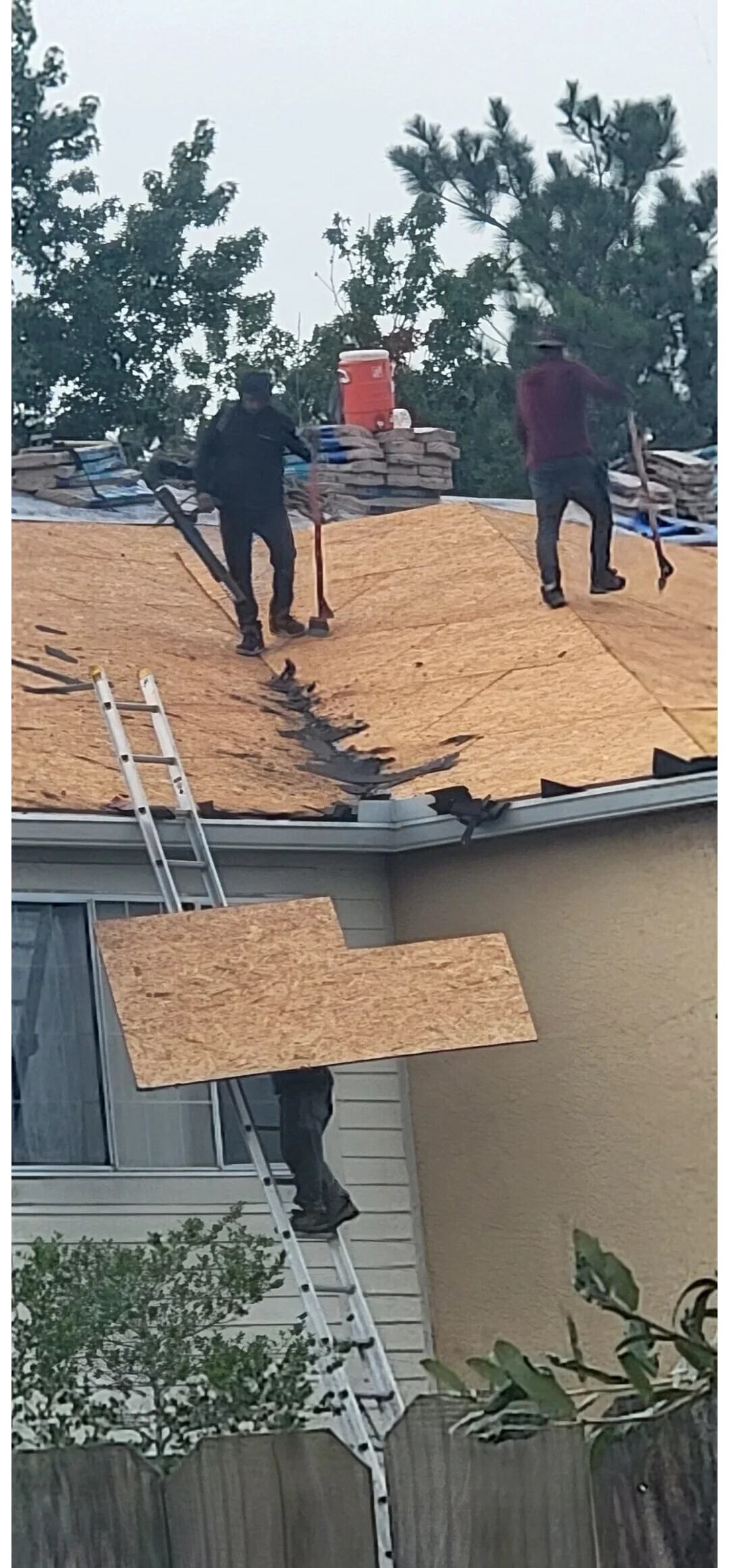 People Who Thought Things Were Fine, But They Weren't