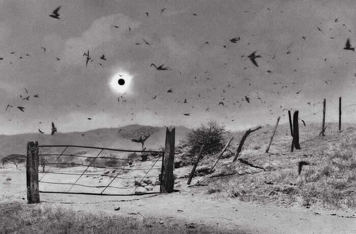 Rare And Forgotten Photos Of Times Long Gone