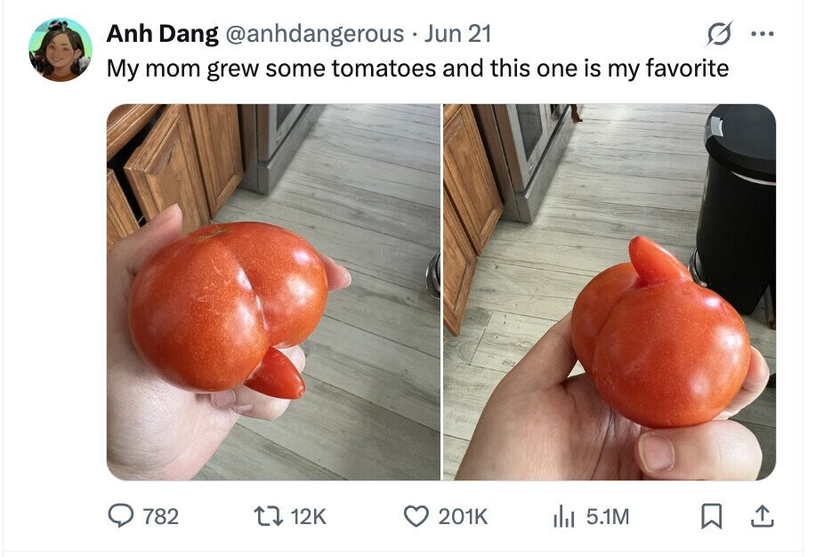Anh Dang @anhdangerous Jun 21 ... My mom grew some tomatoes and this one is my favorite 782 12K 201K del 5.1M