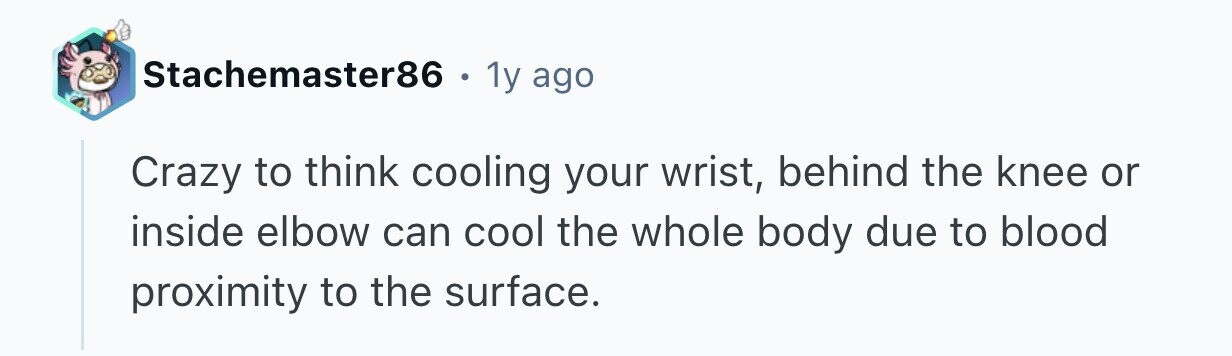Stachemaster86 . 1y ago Crazy to think cooling your wrist, behind the knee or inside elbow can cool the whole body due to blood proximity to the surface. 
