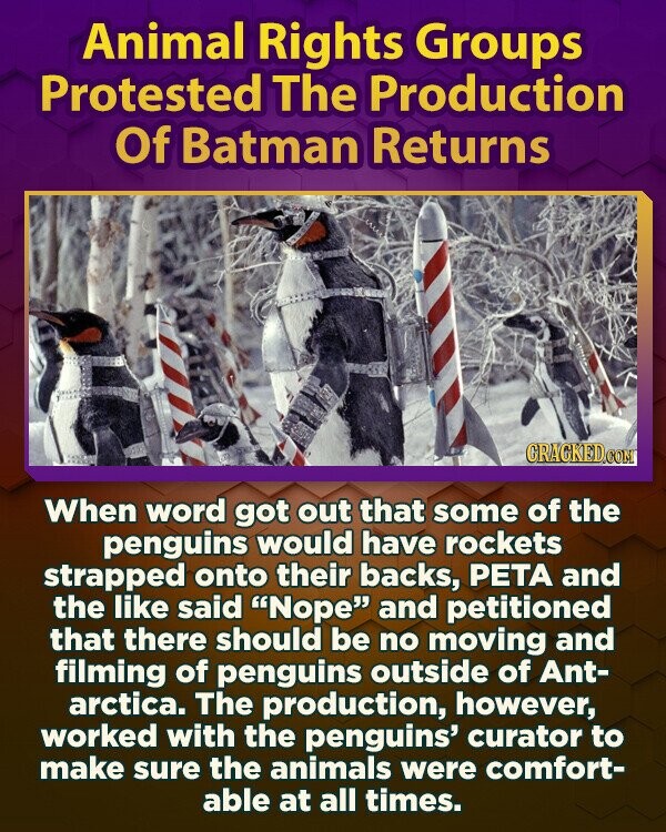 Animal Rights Groups Protested The Production Of Batman Returns GRAGKED.COM When word got out that some of the penguins would have rockets strapped onto their backs, PETA and the like said Nope and petitioned that there should be no moving and filming of penguins outside of Ant- arctica. The production, however, worked with the penguins' curator to make sure the animals were comfort- able at all times.