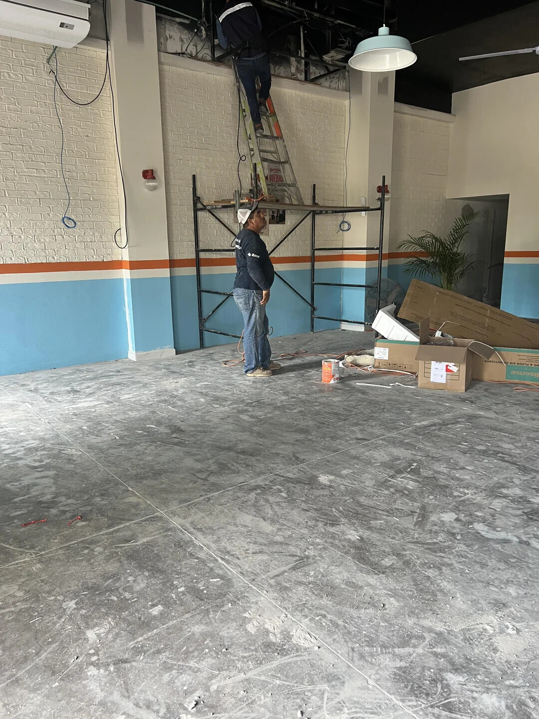 lisense & FLOOR BUENAS