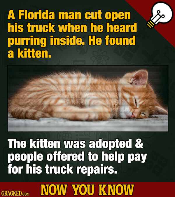 A Florida man cut open his truck when he heard purring inside. Не found a kitten. The kitten was adopted & people offered to help pay for his truck repairs. NOW YOU KNOW CRACKED.COM