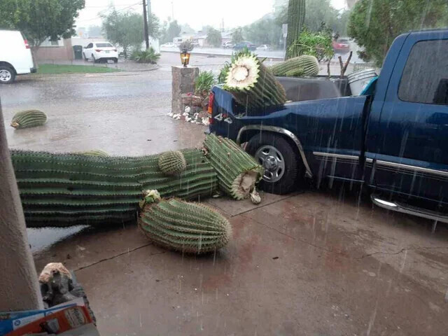 Photos Where the Less Fortunate Get Especially Unlucky