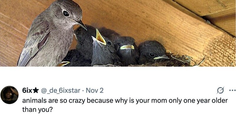 35 of the Funniest Tweets from Monday, November 03, 2025