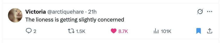 Victoria @arctiquehare 21h ... The lioness is getting slightly concerned 2 1.5K 8.7K del 101K 