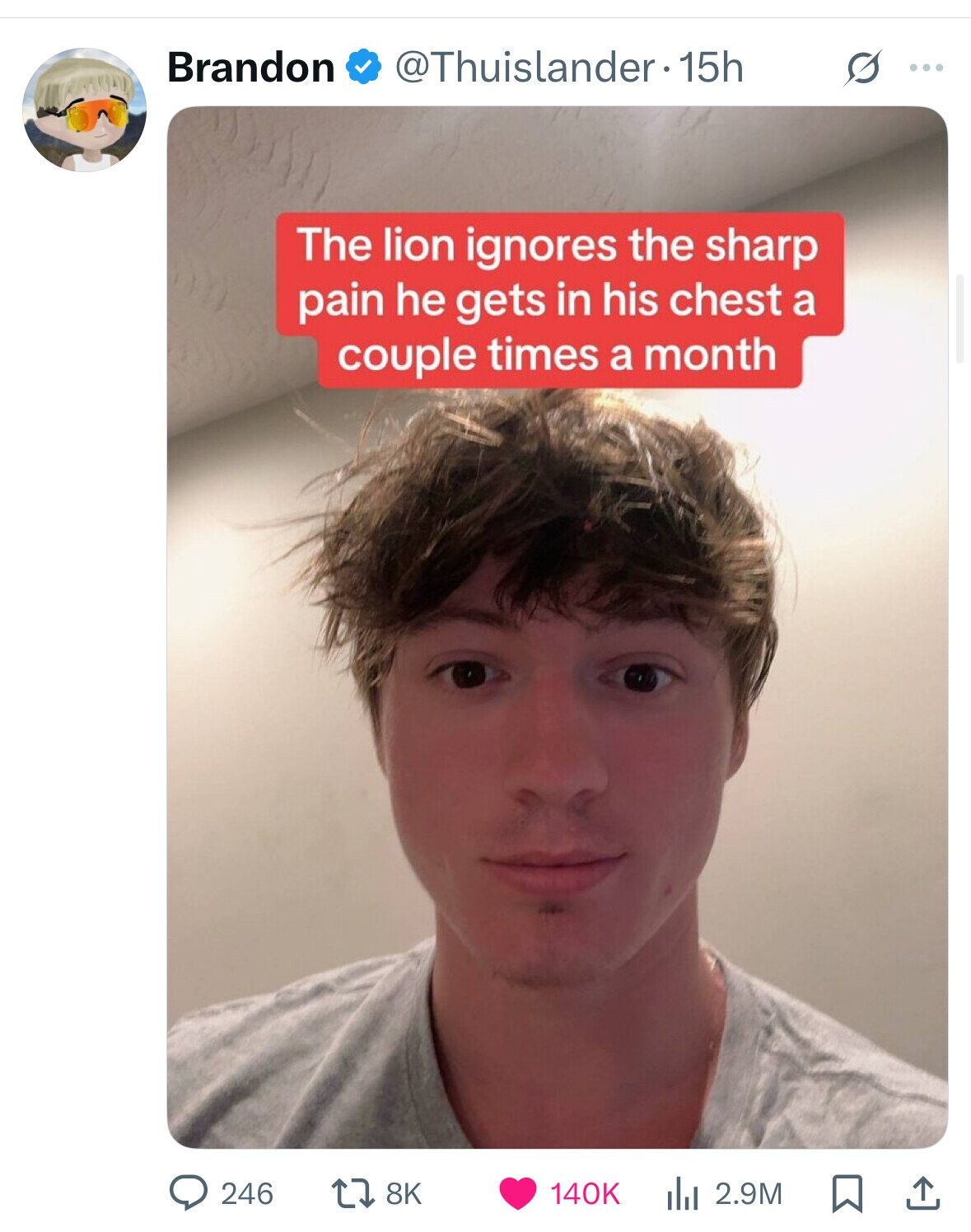 Brandon @Thuislander 15h ... The lion ignores the sharp pain he gets in his chest a couple times a month 246 8K 140K del 2.9M 