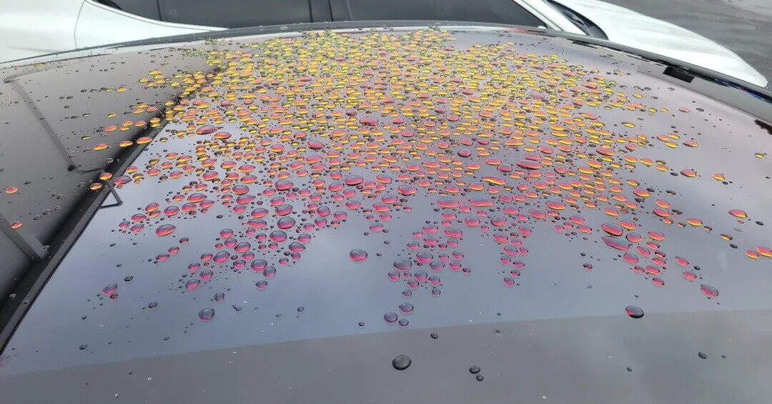 Candid Photos Peaking Into Life’s Most Real Moments