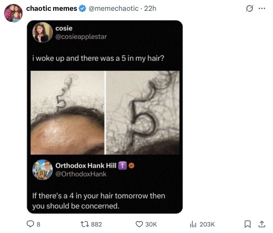 chaotic memes @memechaotic. 22h s ... cosie @cosieapplestar i woke up and there was a 5 in my hair? COM Orthodox Hank Hill TI @OrthodoxHank If there's a 4 in your hair tomorrow then you should be concerned. 8 882 30K 203K 
