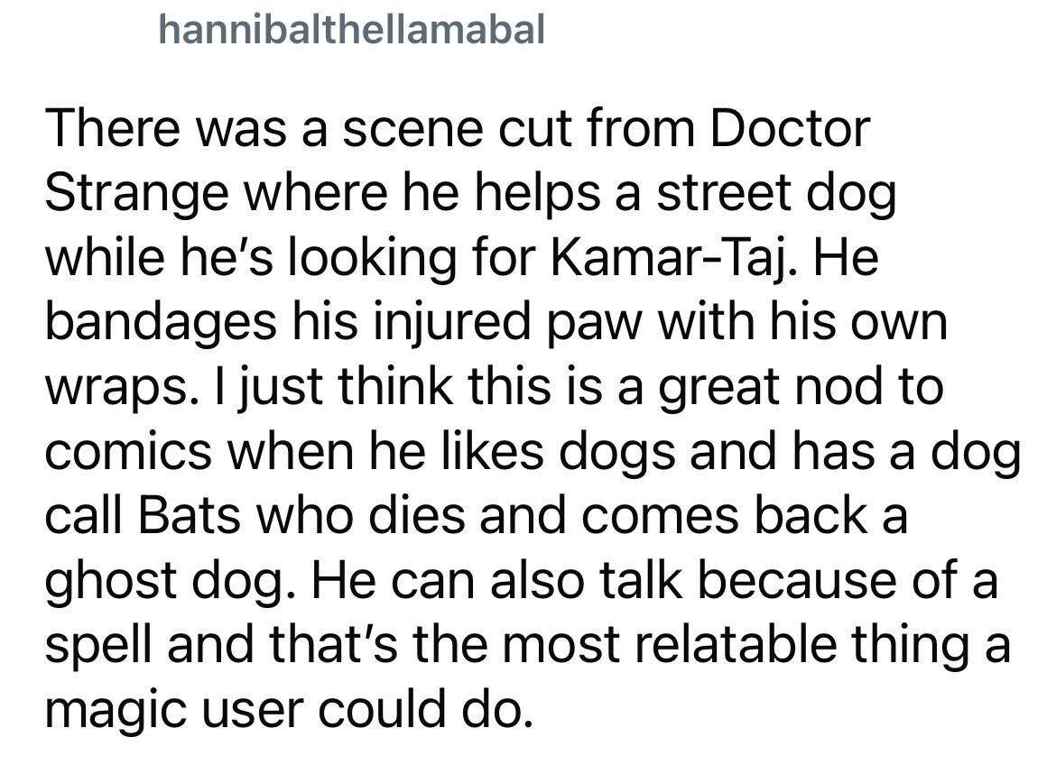 hannibalthellamabal There was a scene cut from Doctor Strange where he helps a street dog while he's looking for Kamar-Taj. Не bandages his injured paw with his own wraps. I just think this is a great nod to comics when he likes dogs and has a dog call Bats who dies and comes back a ghost dog. Не can also talk because of a spell and that's the most relatable thing a magic user could do.