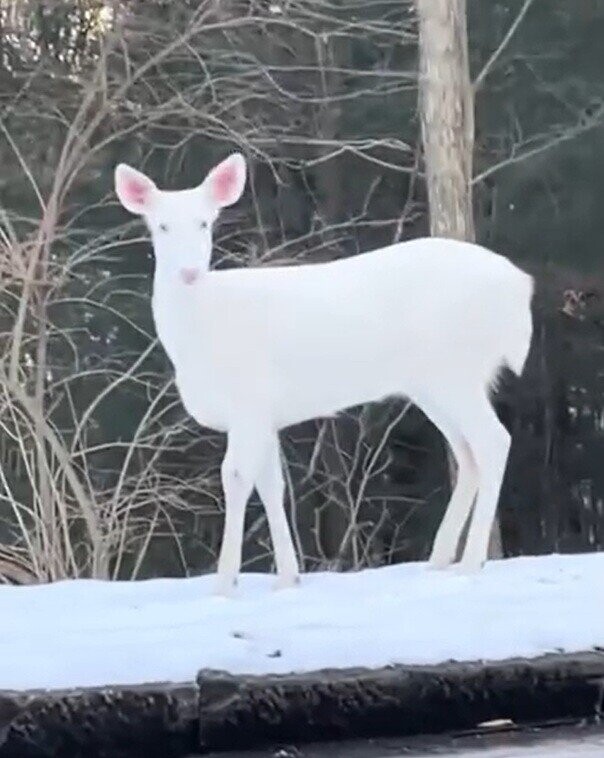 Candid Photos Peaking Into Life’s Most Real Moments