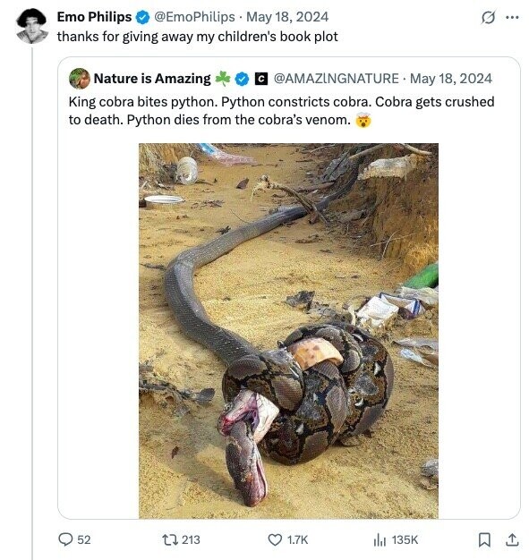 Emo Philips @EmoPhilips May 18, 2024 G ... thanks for giving away my children's book plot @AMAZINGNATURE May 18, 2024 Nature is Amazing с King cobra bites python. Python constricts cobra. Cobra gets crushed to death. Python dies from the cobra's venom. 52 213 1.7K 135K 