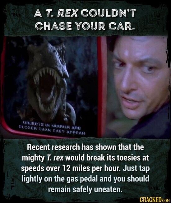A T. REX COULDN'T CHASE YOUR CAR. Recent research has shown that the mighty T. rex would break its toesies at speeds over 12 miles per hour. Just tap lightly on the gas pedal and you should remain safely uneaten.