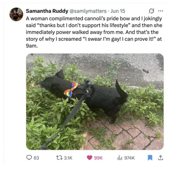 O ... Samantha Ruddy @samlymatters Jun 15 A woman complimented cannoli's pride bow and I jokingly said thanks but I don't support his lifestyle and then she immediately power walked away from me. And that's the story of why I screamed I swear I'm gay! I can prove it! at 9am. 63 3.1K 99K del 974K