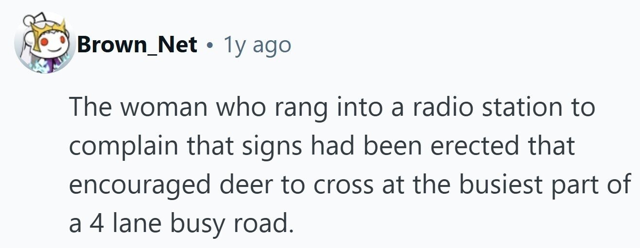Brown_Net . 1y ago The woman who rang into a radio station to complain that signs had been erected that encouraged deer to cross at the busiest part of a 4 lane busy road. 