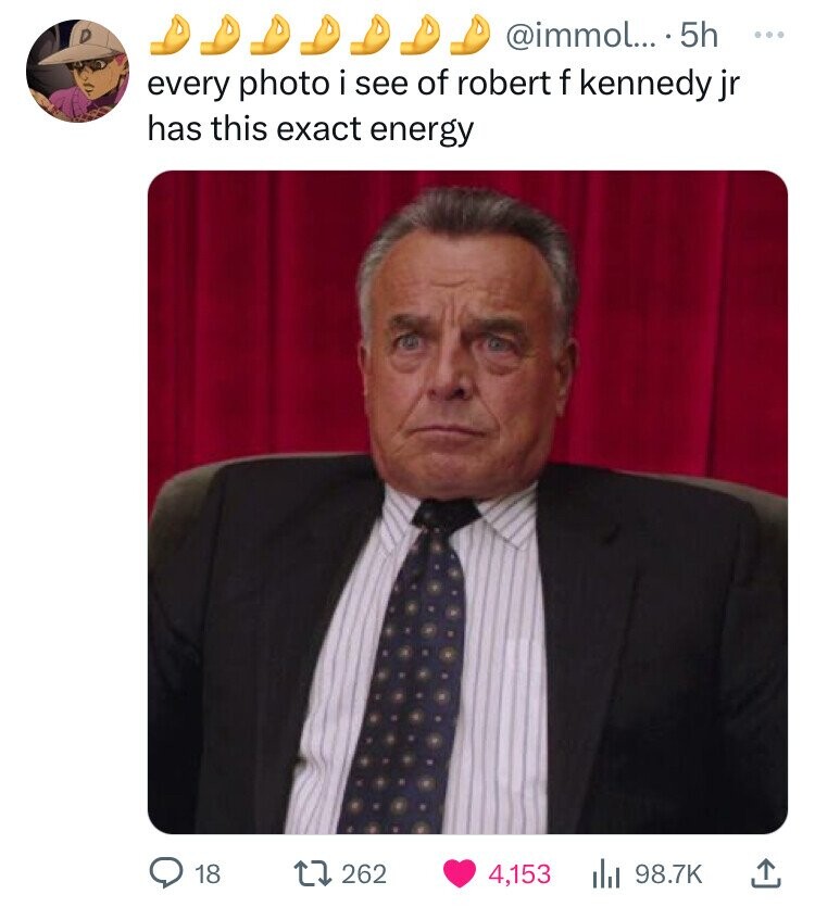 @immol... 5h ... every photo i see of robert f kennedy jr has this exact energy 18 262 4,153 98.7K