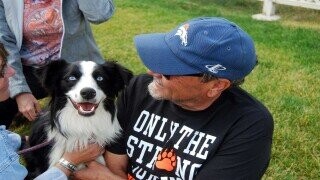 Lost Pets That Moved Heaven & Earth To Get Home