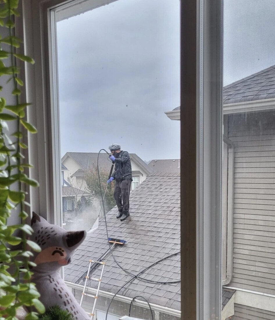 Photos Where No One Who Knew Better Showed Up