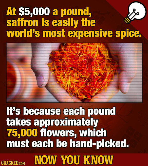 At $5,000 a pound, saffron is easily the world's most expensive spice. It's because each pound takes approximately 75,000 flowers, which must each be hand-picked. NOW YOU KNOW CRACKED.COM