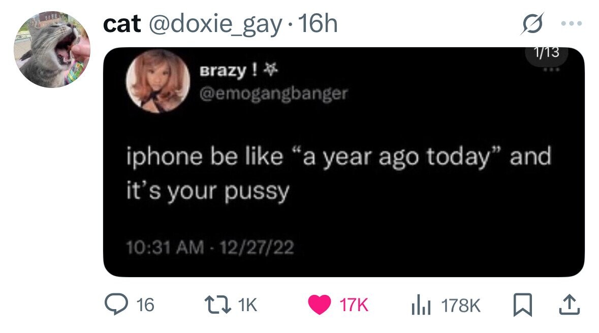 cat @doxie_gay 16h ... 1/13 Brazy ! @emogangbanger iphone be like a year ago today and it's your pussy 10:31 AM-12/27/22 16 1K 17K 178K 