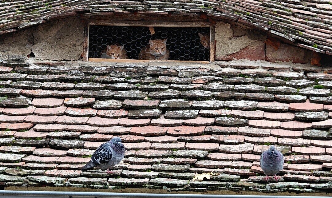 Candid Photos Peaking Into Life’s Most Real Moments