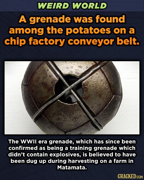 WEIRD WORLD A grenade was found among the potatoes on a chip factory conveyor belt. The WWII era grenade, which has since been confirmed as being a training grenade which didn't contain explosives, is believed to have been dug up during harvesting on a farm in Matamata. CRACKED.COM