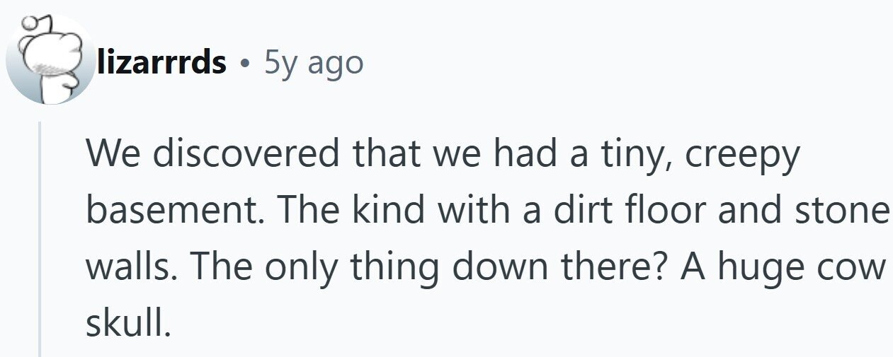 lizarrrds . 5y ago We discovered that we had a tiny, creepy basement. The kind with a dirt floor and stone walls. The only thing down there? A huge cow skull.
