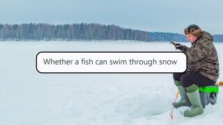 32 Hilariously Stupid Arguments People Have Been In