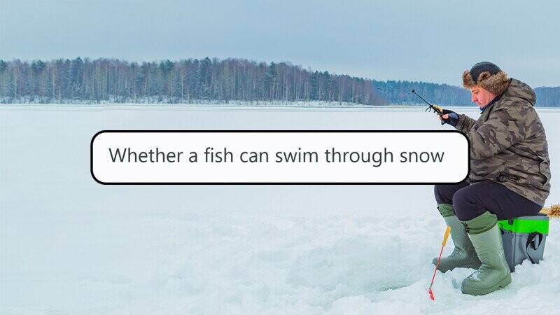 32 Hilariously Stupid Arguments People Have Been In