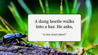 22 Jokes to Memorize So You Can Go Toe-to-Toe With the Clown at Your Nephew’s Birthday Party