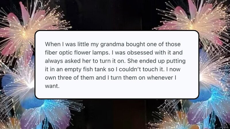 23 Things People Bought As Adults Because They Were Denied Them As Children