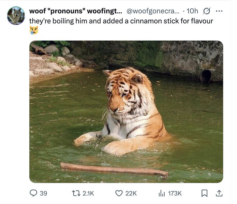 woof pronouns woofingt... @woofgonecra... 10h s ... they're boiling him and added a cinnamon stick for flavour 39 2.1K 22K del 173K