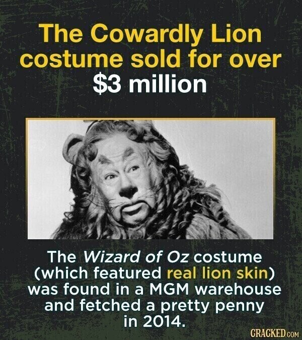 The Cowardly Lion costume sold for over $3 million The Wizard of Oz costume (which featured real lion skin) was found in a MGM warehouse and fetched a pretty penny in 2014. CRACKED.COM