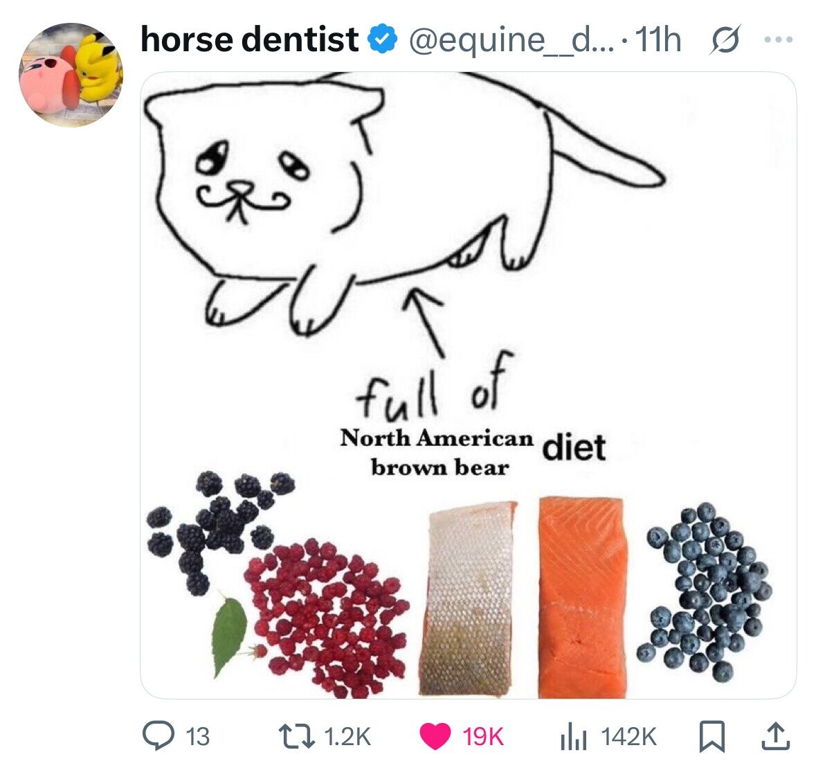 horse dentist @equine_di... 11h s ... of full North American diet brown bear 19K 13 1.2K 142K 