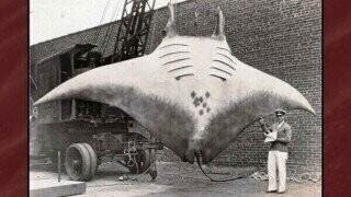 32 Size Comparisons That Are Most Assuredly Not the Thief of Joy