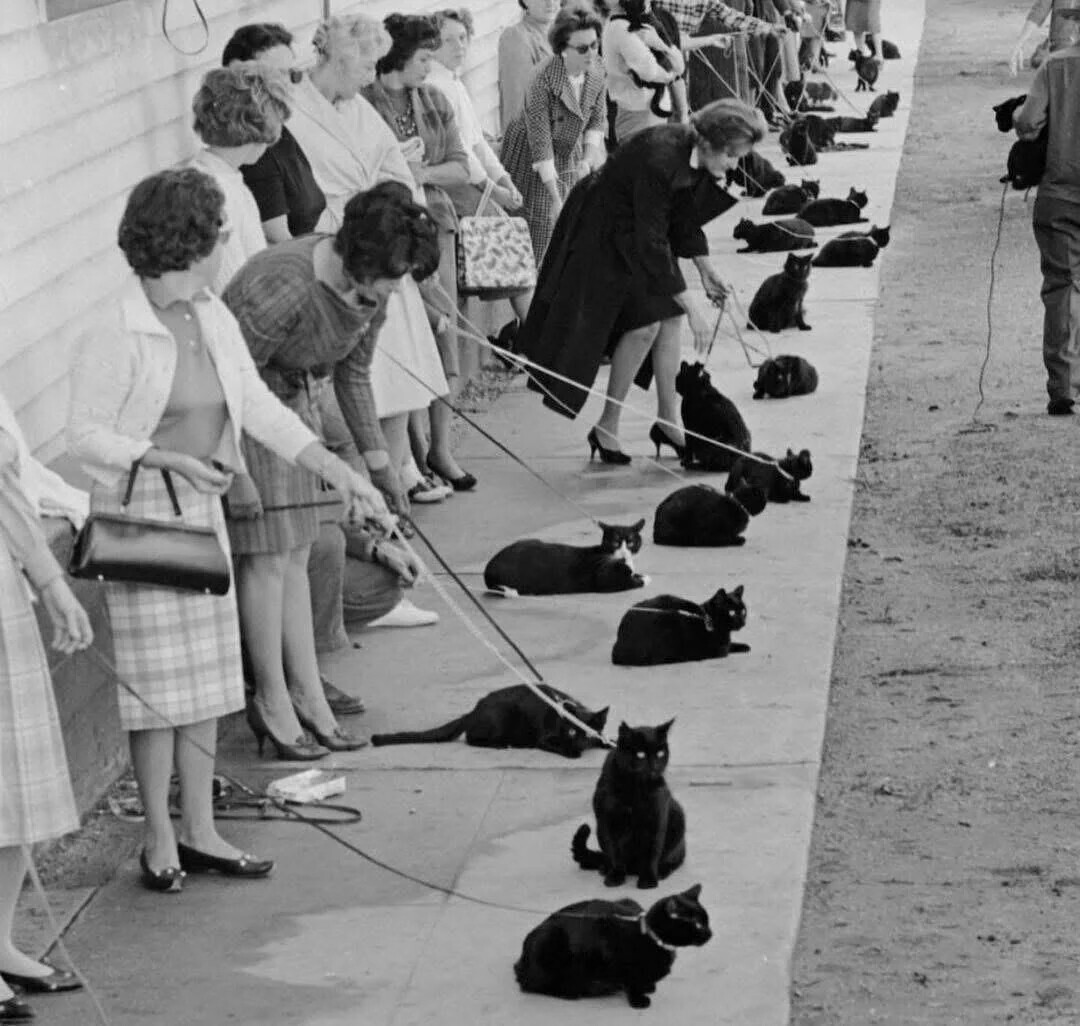 Vintage Photos That Will Make You Look Twice