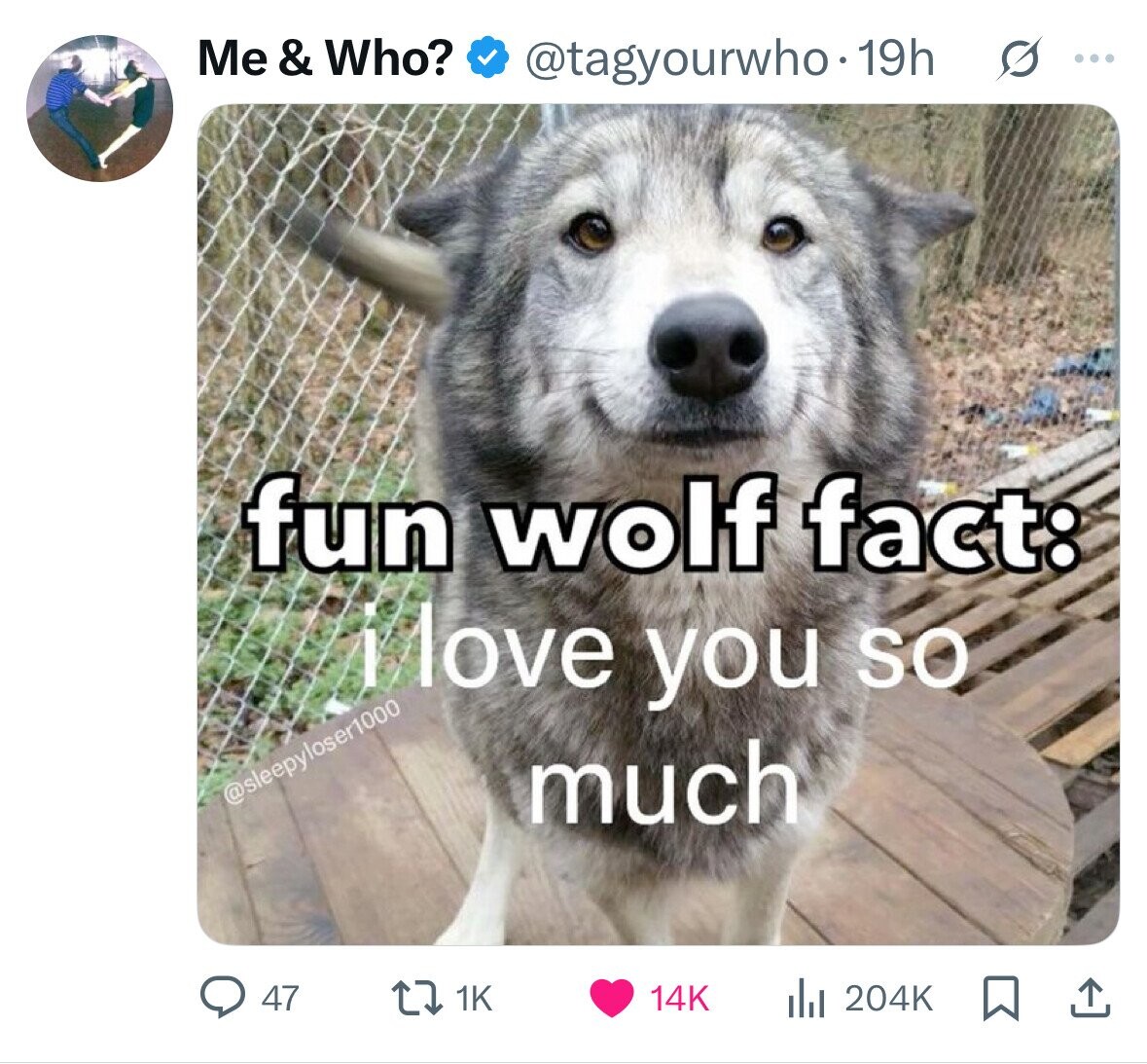 Me & Who? @tagyourwho.19h s ... fun wolf fact: flove you so @sleepyloser1000 much 47 1K 14K del 204K 