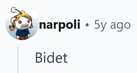 narpoli 5y ago Bidet