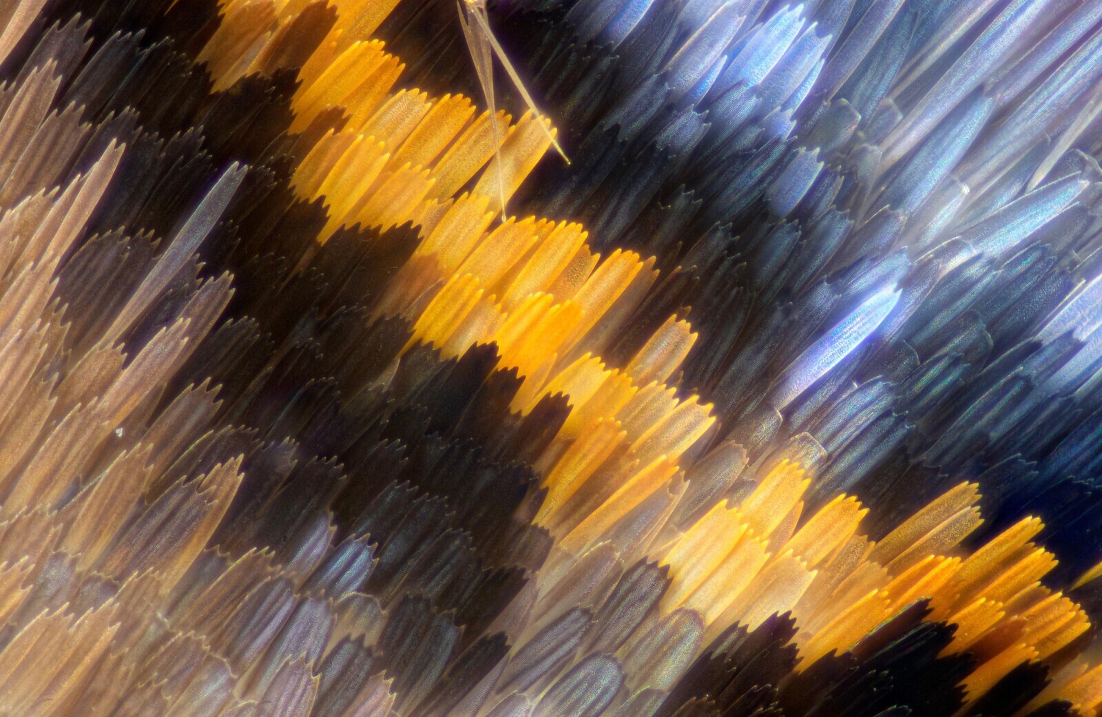 Candid Photos Peaking Into Life’s Most Real Moments