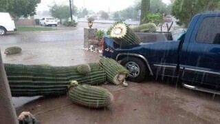 Photos Where the Less Fortunate Get Especially Unlucky