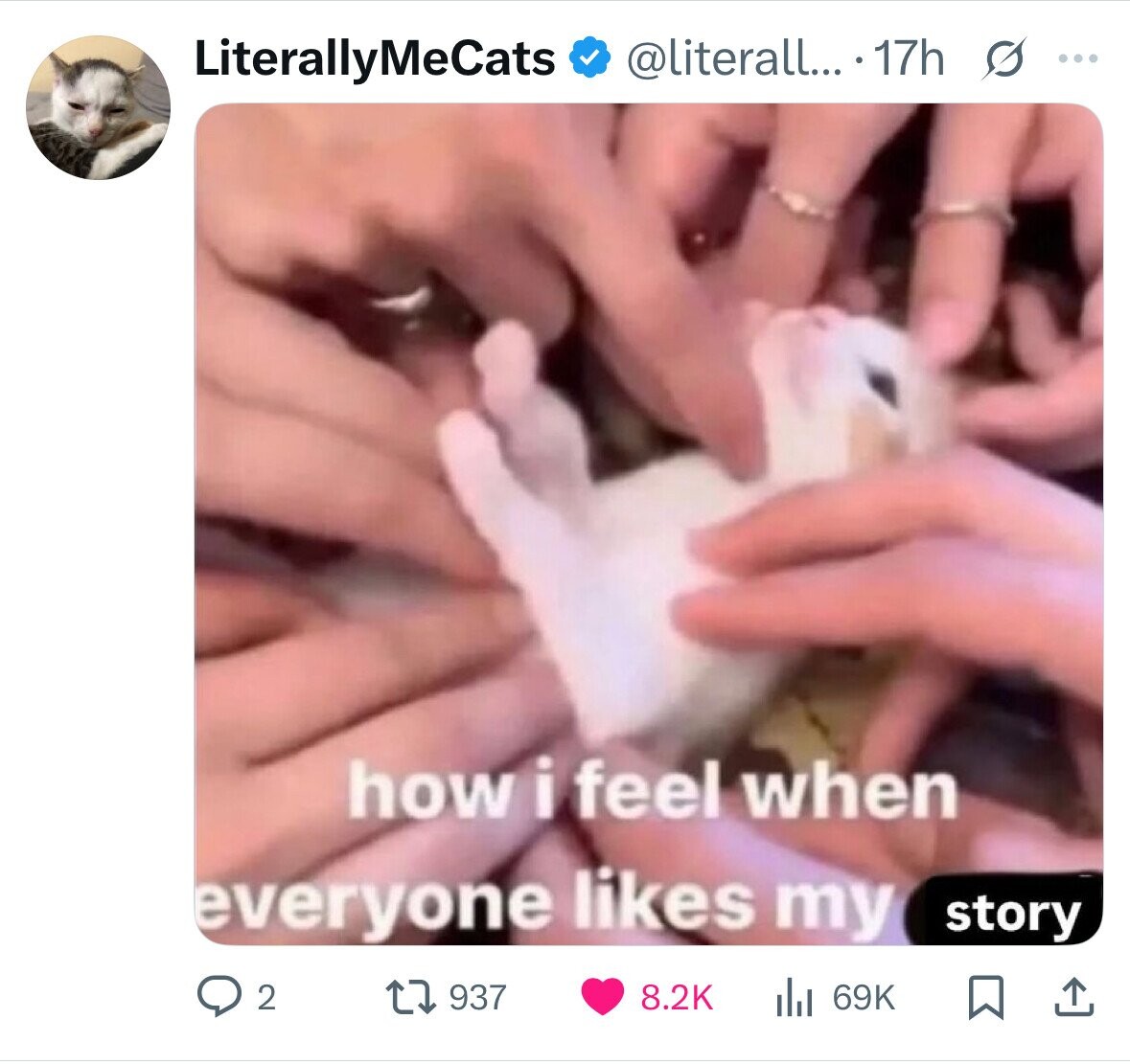 LiterallyMeCats @literall... 17h S ... how i feel when everyone likes my story 2 937 8.2K 69K 