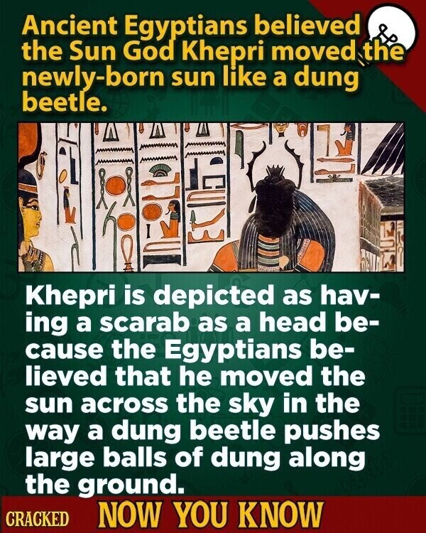 Ancient Egyptians believed the Sun God Khepri moved the newly-born sun like a dung beetle. Khepri is depicted as hav- ing a scarab as a head be- cause the Egyptians be- lieved that he moved the sun across the sky in the way a dung beetle pushes large balls of dung along the ground. CRACKED NOW YOU KNOW