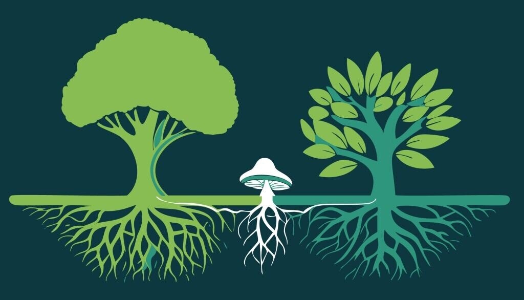 More Counterintuitive Facts To Cook Your Noodle