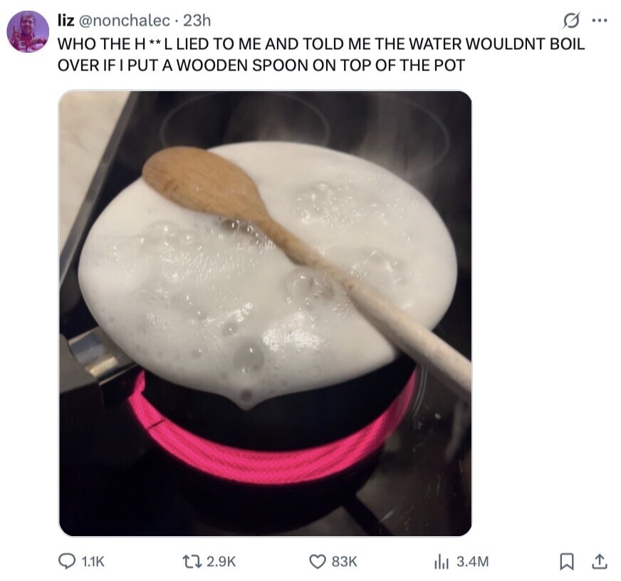 liz @nonchalec 23h G ... WHO THE H**L LIED TO ME AND TOLD ME THE WATER WOULDNT BOIL OVER IF PUT A WOODEN SPOON ON TOP OF THE РОТ 1.1K 2.9K 83K del 3.4M 