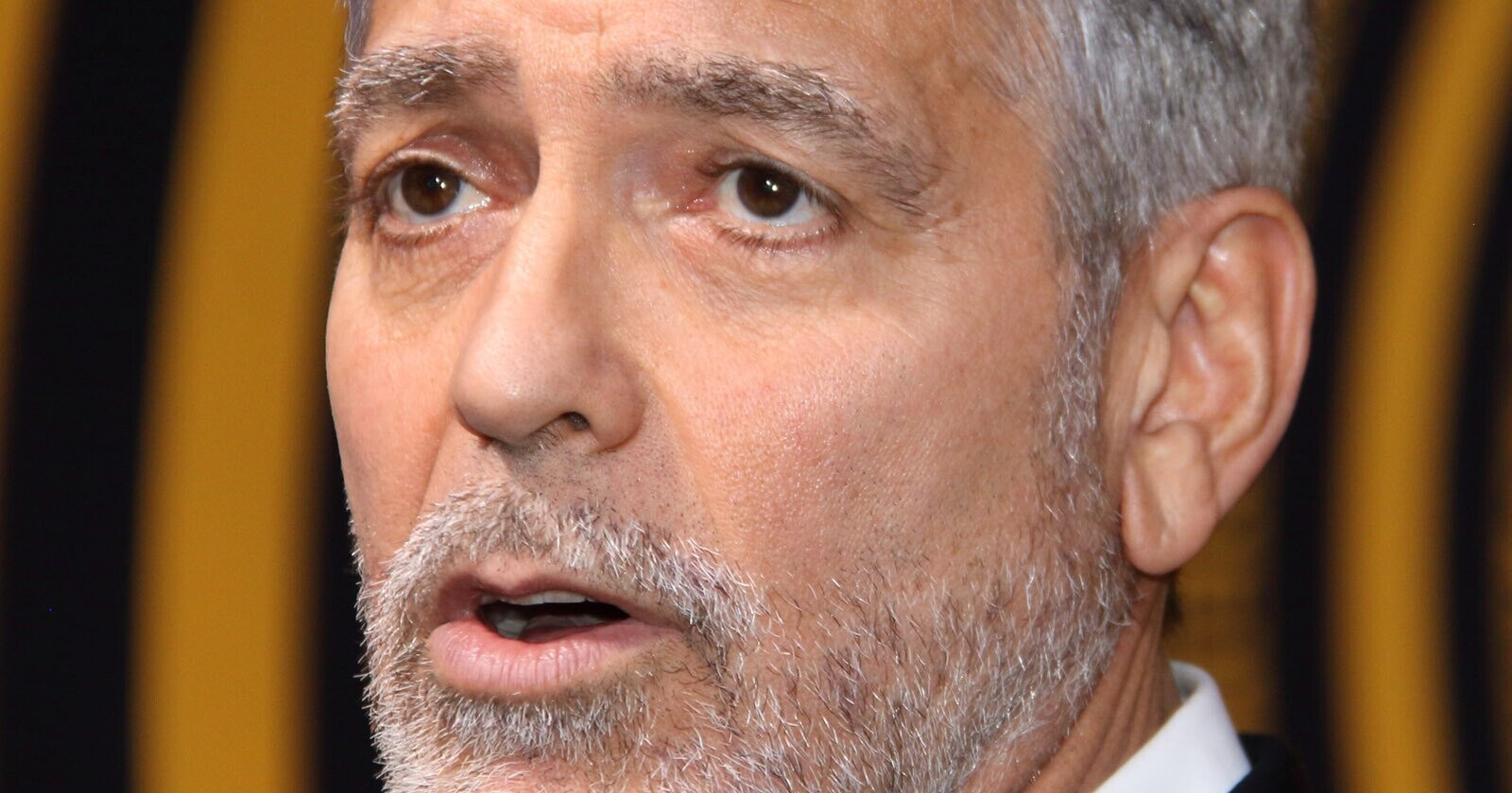 8 Surprising Facts About Rick Case’s Multimillion-Dollar Fortune  : Financial Reports Net Worth 2026: Career Earnings & Assets