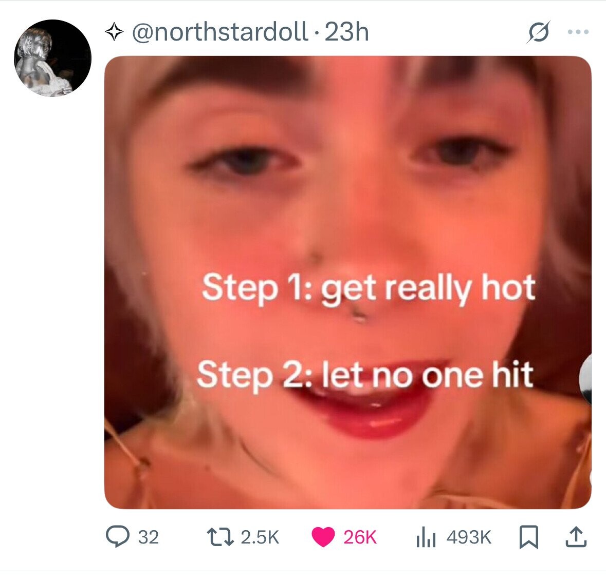 @northstardoll.23h ... Step 1: get really hot Step 2: let no one hit 32 26K 2.5K 493K 