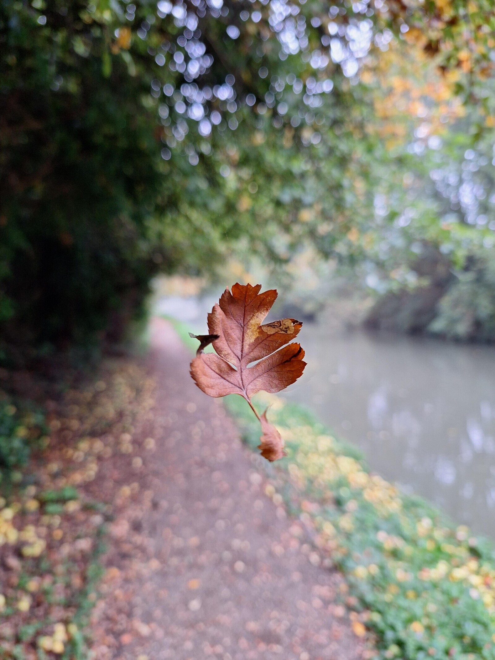 Candid Photos Peaking Into Life’s Most Real Moments