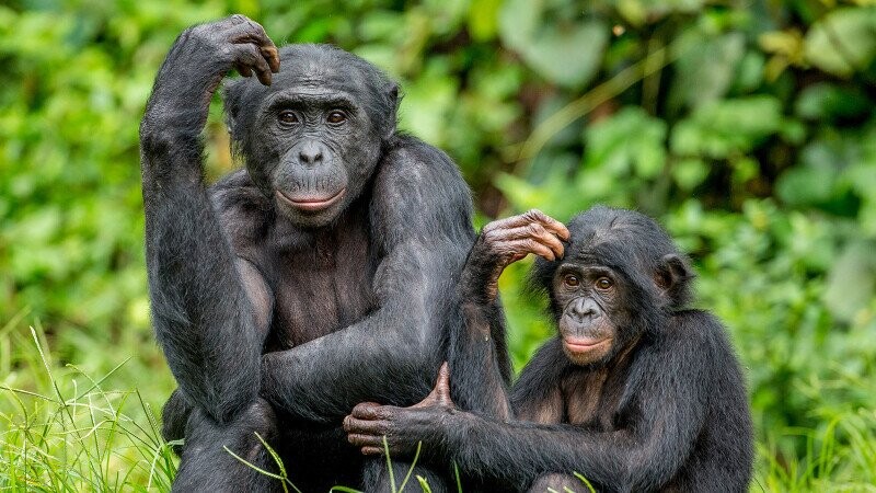 31 Random Bits of Trivia We Poured Into a Sensory Deprivation Tank to Increase Buoyancy