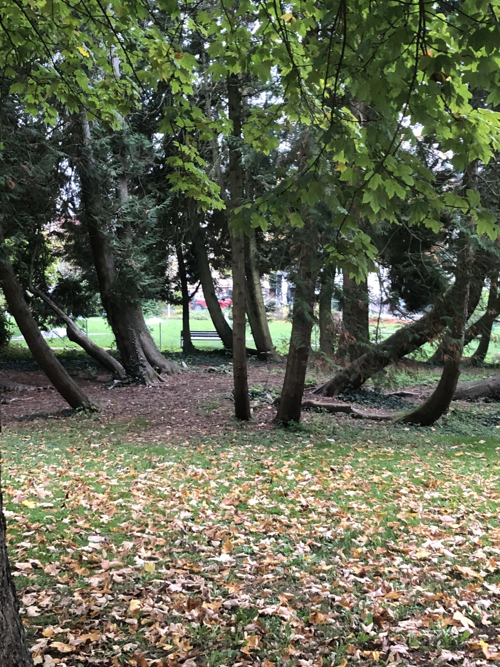 Candid Photos Peaking Into Life’s Most Real Moments